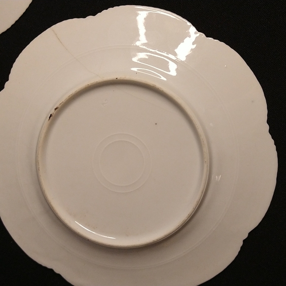 Old china plates Flora print - Picture 5 of 9